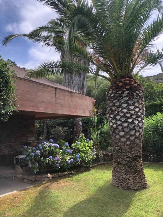 Apartment 4 *
