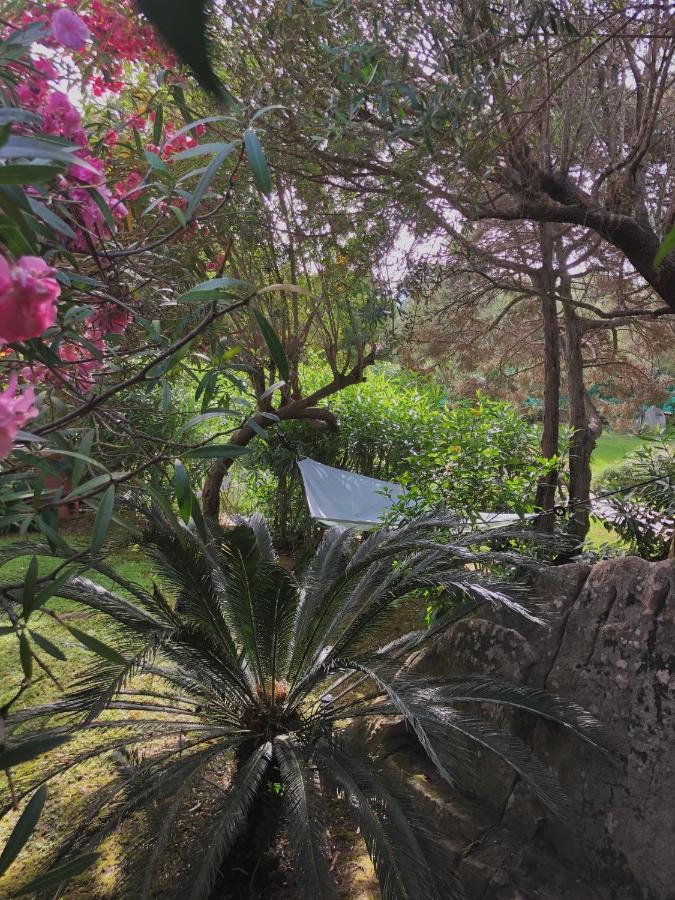 4 Porto Rotondo
